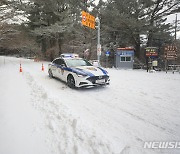 항공기 100편 결항…제주 폭설 사고도 잇따라(종합)