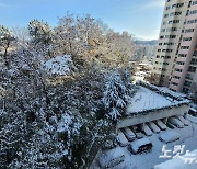 광주전남 최고 17.9㎝ 폭설…도로 통제, 항공기·여객선 결항 잇따라