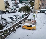 제주, 폭설·강풍 하늘·바닷길 막히고 사고 속출