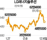 성장株 추락·배터리株 질주···시총 상위권 순위 '지각변동'