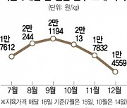 가격 내렸는데도 안 팔리네···유통가 한우 소비부진 고심