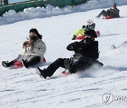 최강 한파 속 눈썰매부대(?)