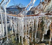 최강 한파에 고드름 꽁꽁