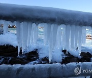 강추위가 만든 바닷물 고드름