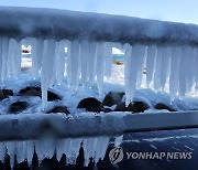 강추위가 만든 바닷물 고드름