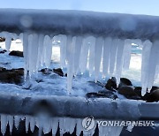 강추위가 만든 바닷물 고드름