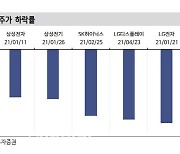 LG이노텍, 내년 실적성장 IT 대형주 중 가장 높아 -신한