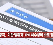 (영상)금융당국, '기관 뻥튀기' IPO 허수청약 바로 잡는다