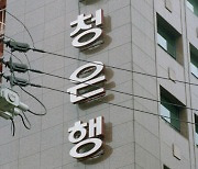 충청권 지방은행 밑그림 완성…출자자·대주주 모집이 관건