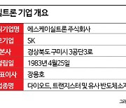 [칩포메이션]'반도체 생명수' 자립 이끌 SK실트론