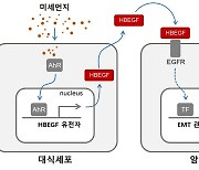 생명연, 미세먼지의 암전이 위험 증가 기전 규명