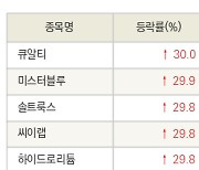 [fnRASSI]오늘의 상한가, 큐알티 30.0% ↑