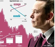 테슬라를 어찌할꼬…"팬덤 기반 흔들" vs "성장성 여전"