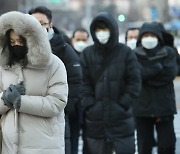 의류주 주가·실적 '앗! 뜨거워'…"매서운 한파가 반가운 패딩"