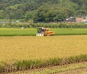 전라남도, 벼 재배 농가 경영안정대책비 570억 지원