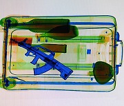 미국 공항에서 역대 최다적발 기록한 벌금 2000만원짜리 불법소지품
