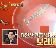 ‘안다행’ 일식 셰프 정호영, 맨손으로 보리새우-쥐치-쏨뱅이 낚시