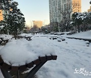 사흘째 내린 폭설에…광주·전남 축사 무너지고 피해 잇따라(종합)