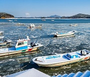 [포착] 서산 가로림만 바다도 꽁꽁 얼었다