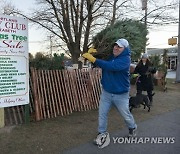 Inflation Christmas Trees