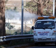 부산 토종닭농장 고병원성 AI 확진…"방사사육 말아야"