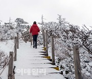 [포토] 제주위호텔, 산행 & 스파' 패키지