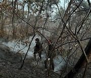 성주 선남면 야산서 불…산림 0.1ha 소실