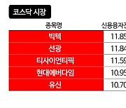 [늘어나는 주식 빚투]②낙폭 큰 高신용 종목 수익률 처참