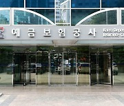 예금자보호법 개정안 국무회의서 의결…금융안정계정 도입 속도