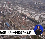 한은 "물가상승률 당분간 5% 내외···오름세 점차 둔화"