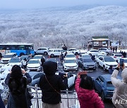 제주 대체로 흐림…낮 최고 11~13도