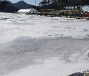 평창송어축제 장소 오대천 꽁꽁 얼었네