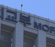 국내 '중국 비밀경찰서' 범정부 실태 파악…외교부 "규범 내 활동해야"