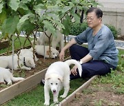 "文 파양 풍산개 月 병원비 1110만원···그 돈 아까웠나"