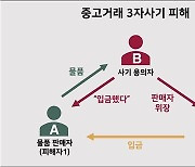 입금 확인하고 직거래했는데 계좌 정지···'중고 사기' 뭐길래