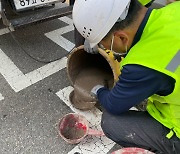 성동구, "싱크홀 예방"··· 공동 60곳 찾아 복구