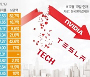 테슬라 -62%, 애플 -28%···개미들 잠 못드는 '12월의 밤'