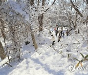 한라산의 겨울에 빠지다