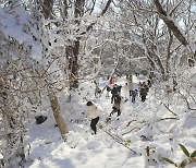 한라산의 겨울에 빠지다