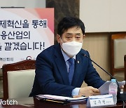 '금산분리' 개편안 내년 상반기 나온다