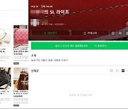 "보고 사세요"..150억대 명품 사기 잡고 보니 44만원 남겨