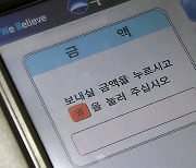 잘못 송금한 돈 내년부터 5천만 원까지 반환