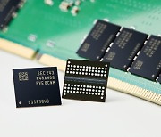 삼성전자, 업계 최초 '12나노급 16Gb DDR5 D램' 개발