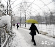 24일까지 많은 눈 예보…충남 서해안 최고 25㎝