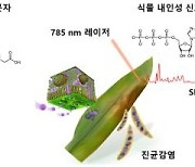 서울대 연구팀, 식물 스트레스 실시간 감지 나노센서 개발