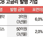 메자닌·풋옵션 등 유인책 총동원… 돈가뭄에 허리 휘는 비우량 기업들