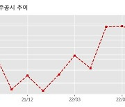 SDN 수주공시 - 물품공급 계약 (태양광 모듈) 101.1억원 (매출액대비  10.89 %)