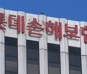 정부에 백기 든 車보험료...내년 2%대 인하