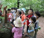 무장애데크·나눔숲 지속 확대···보행약자에 '녹색 힐링' 선물