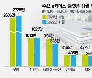 e커머스 주춤한데···'네이버·쿠팡'은 더 세졌다